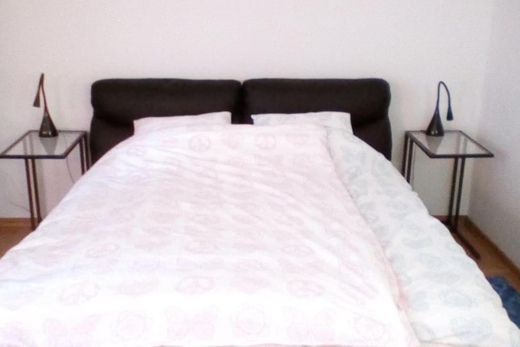 Zagreb Botanical Garden Budget Apartment Extérieur photo